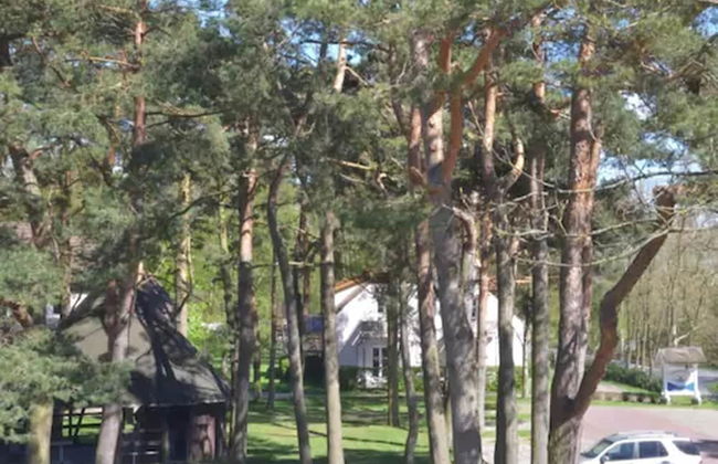 Parkresidenz Dierhagen - Photo 59