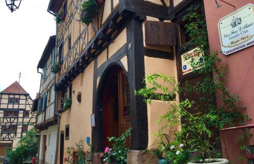 Apartment in Riquewihr near Vineyards - Foto 7