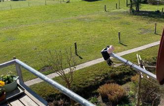 Apartment Dellarte by Interhome - Photo 15