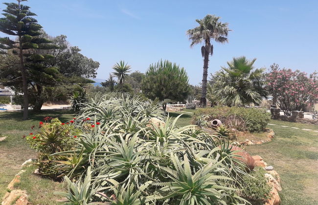 Faros Villa small hotel & restaurant - Foto 77