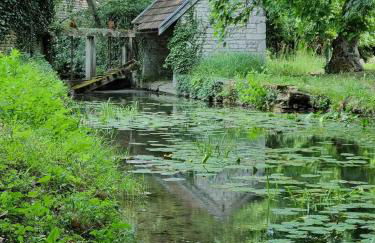 Gîte du Pavillon 4 pers Wi-Fi Haute Marne - Foto 19