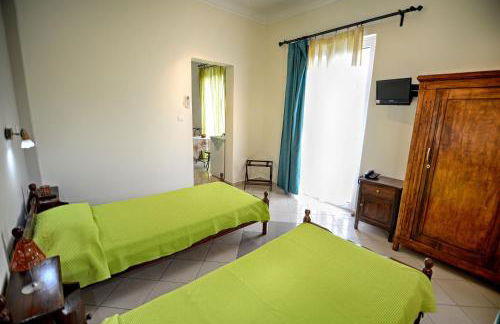 Plumeria Flowery - Foto 16