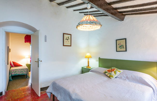 Fattoria Petraglia - Di Mezzo (MTG202) - Foto 10