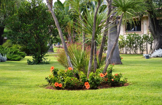 Blue Marine - Photo 35