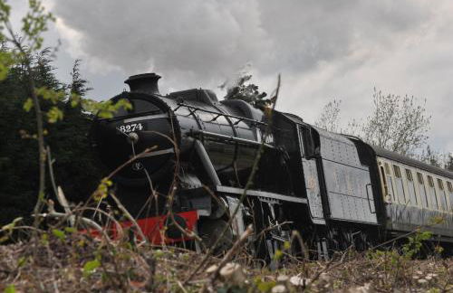 Elms Farm - Photo 34