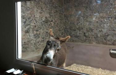 Casa antigua - Foto 33