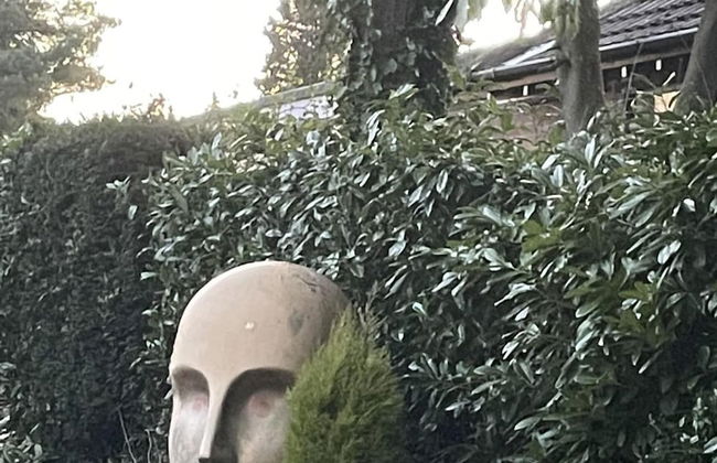 Studio/lickey Hills/near Attractions/garden/petok - Foto 26