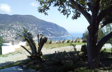 Villa Venino - Foto 19