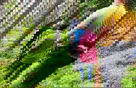 Nordic Island Hideout - Foto 24