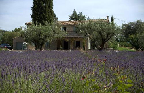 Villa La Jonche - Foto 19