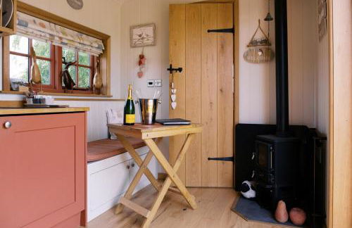 Shepherd's Hut- Hot Tub- Wellness Spa- Wood Burner - Foto 34