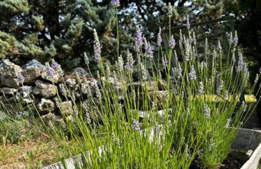 Les Demeures du Clos - Foto 15