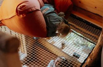 La Cabane dans les arbres du Domaine de la Forestière - Foto 18