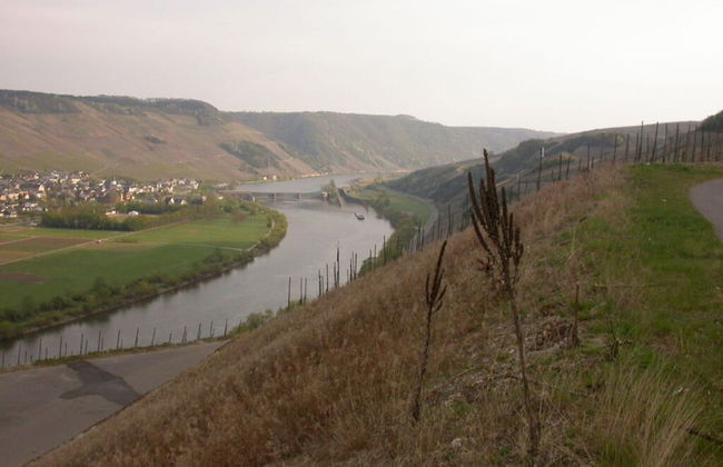 Holiday Apartment Goose in the Monument - Photo 11