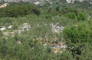 Apartment Villa Bajna - Photo 33