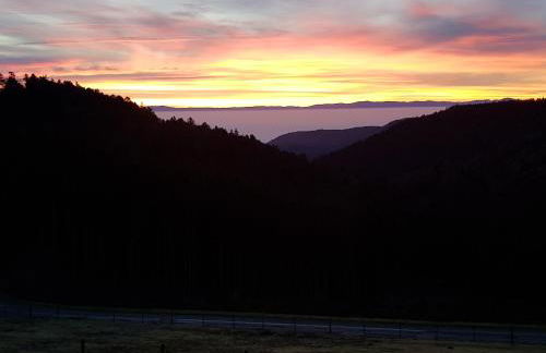 LES GÎTES D'ADELSPACH - Gîtes 4 étoiles Nature & Spa - Foto 5
