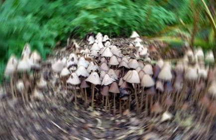 Stylish Town Centre Apartments - Foto 28