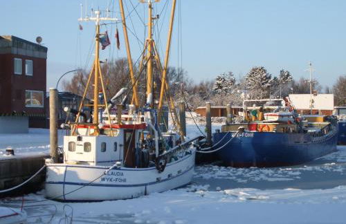 Midlum Stieglitz - Foto 23