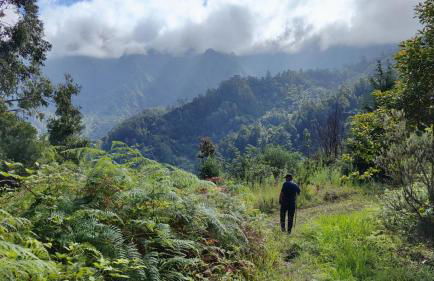 Vista Romantica Madeira - Photo 65