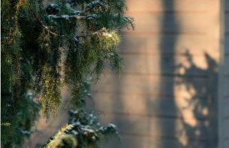 Szary domek Zelwa - Foto 15