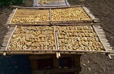 Dimore Storiche - Ulivo di Aldo - Foto 26