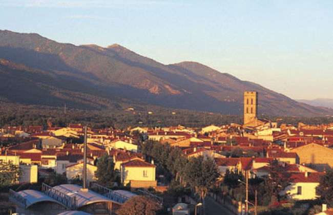 Les Pins Parasols - Foto 24