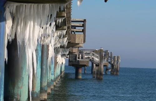 Ferienhaus Blomengoorn - Foto 50