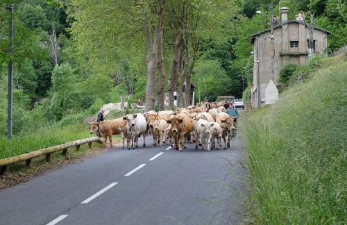 Total Peace and quiet on the top of the mountain, - Foto 33