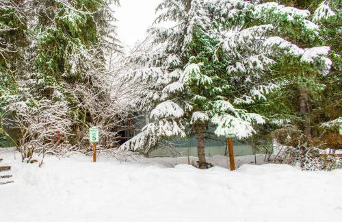 Snowbird Chalet #5 - Foto 31