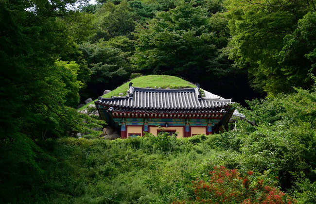 Excursión a Gyeongju - Foto 2