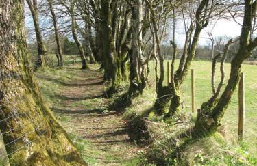 Rhydgaled - Photo 12