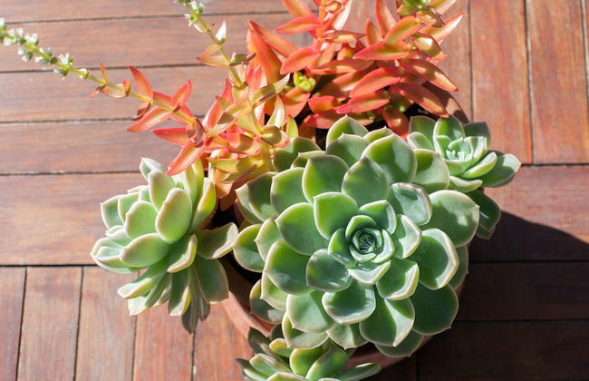 Waterstone West A103 by CTHA - Photo 14