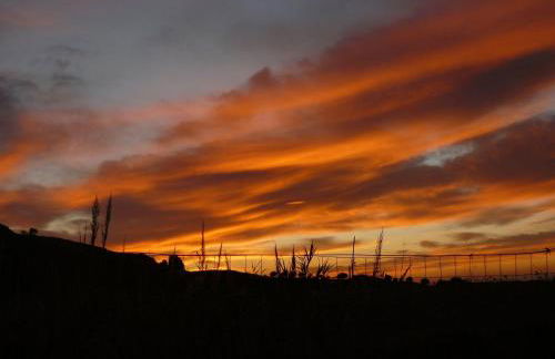 Apartment Wohnung 5 - Zwei-Zimmer-Wohnung by Interhome - Foto 31