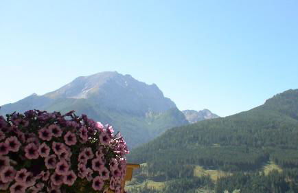 Gästehaus Amort Ferienwohnung - Foto 13
