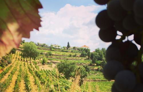 Quinta de Fiães - Photo 61