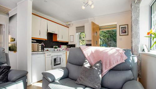 Bank Voles Nest - Uk45199 - Foto 4