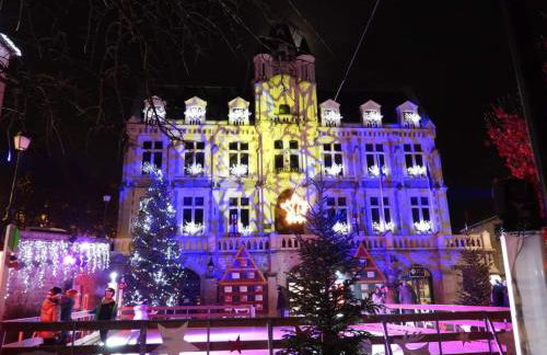 Confort moderne dans un gîte historique à Saint-Galmier - FR-1-496-276 - Foto 30