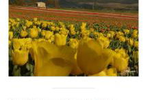 Le jardin de Nigelle , Bas De Villa En Provence - Foto 25