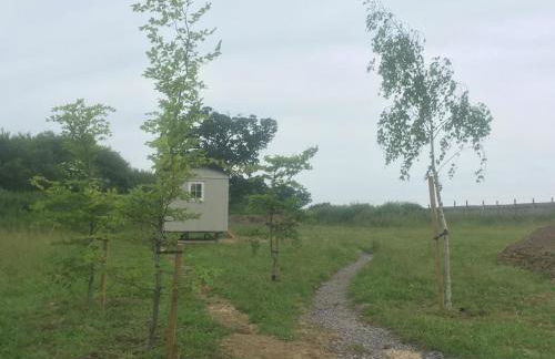 Romantic secluded Shepherd Hut Hares Rest - Foto 21