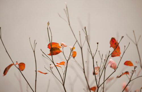 Zambala Luxury Apartments - Foto 49