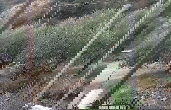 Maisonette Maria - for tranquility. Sykia Chalkidikis - Foto 25