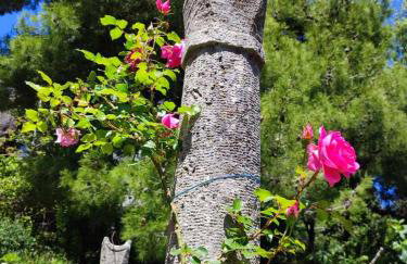 Peaceful house in Dubrovnik - Photo 36