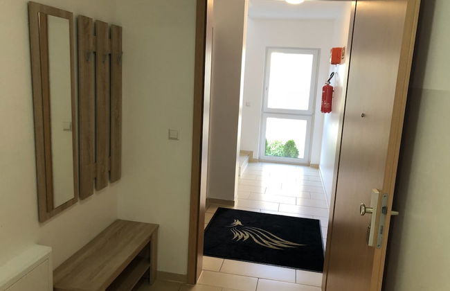 Sahara Falcon - Foto 65