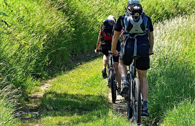 4 Person Holiday Home in Mora - Photo 10