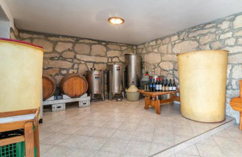 Villa Žuža - Foto 43