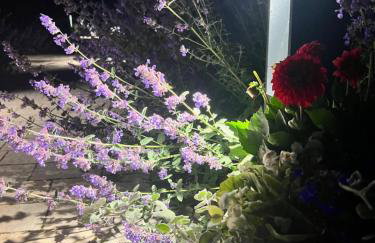 Przystanek Prawdowo - Foto 67