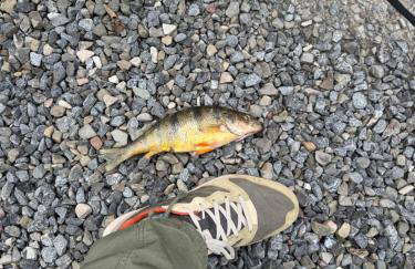 Cozy Lakefront Cottage - Foto 75