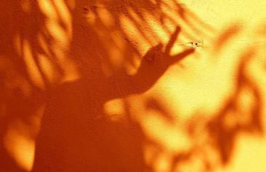 Maison de vacances - côte de Jade - coup de coeur - Foto 32