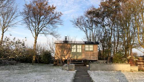 Little Plovers Shepherd Hut - Foto 2, Garden view