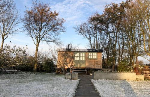 Little Plovers Shepherd Hut - Foto 2